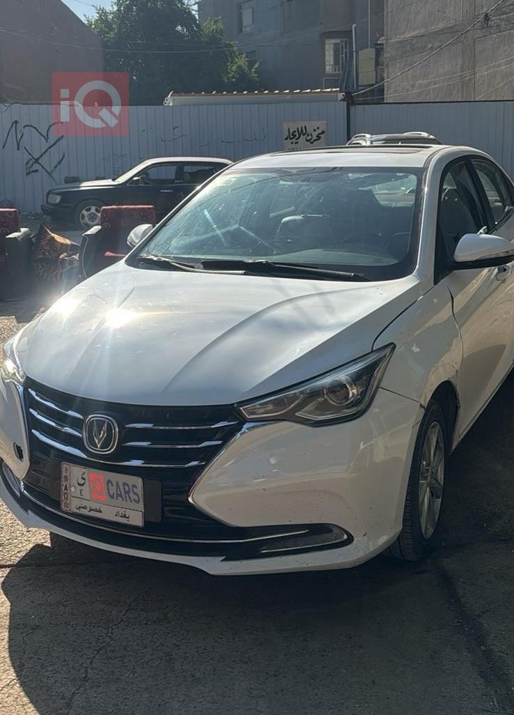 شانجان السفن